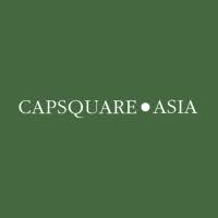 Logo Capsquare-Asia Partners Ltd.