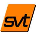 Logo svt Beteiligungen GmbH