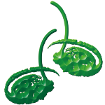 Logo Dabomb Protein Biotech Corp.