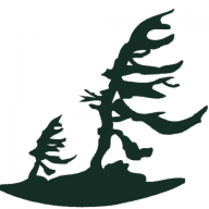Logo Trails Youth Initiatives