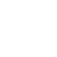 Logo WE-EF Lighting USA LLC