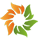 Logo Solara Active Pharma Sciences Ltd.