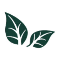 Logo Creative Capital Management Investments LLC