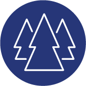 Logo Btg Pactual Timberland Investment Group LLC