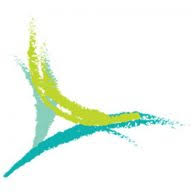 Logo Twelvestone Health Partners, Inc.