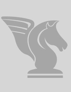 Logo Pegasus CP Holding GmbH