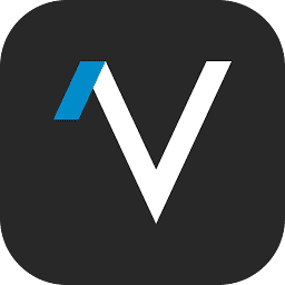 Logo Vivocorp Holding SpA