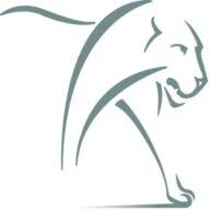 Logo Lion Portfolio Ltd.