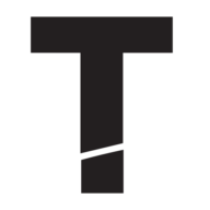 Logo TEAM Services Group LLC