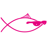 Logo Salmon Youth Centre