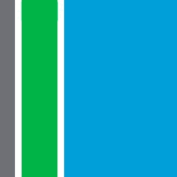 Logo RSM UK Consulting LLP