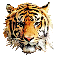 Logo Tiger Group, Inc.