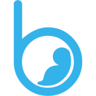 Logo Sibel, Inc.