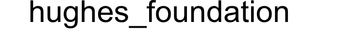 Logo Hughes Foundation