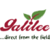 Logo Galilee Export - Agricultural Cooperative Society Ltd.