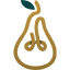 Logo Golden Pear Funding OpCo LLC