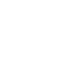 Logo Vertebrae, Inc.