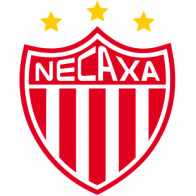 Logo Impulsora del Deportivo Necaxa SA de CV