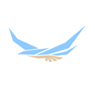 Logo BirdsEyeViewTechnologies Ltd.