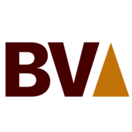 Logo Bronze Valley /Venture Capital/