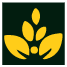 Logo Campo Vivo