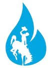 Logo Cowboy Clean Fuels LLC