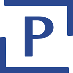 Logo Panorama Insurance Group, Inc.