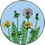 Logo Center For Sustainable Living, Inc.