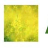 Logo AgroFIBRA
