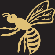 Logo Wasps Legends Charitable Foundation