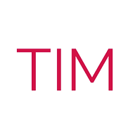 Logo TIM Group Holdings