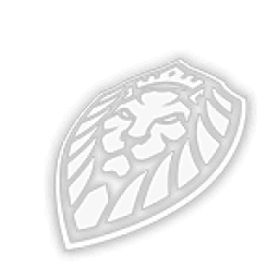 Logo Lion Gaming Group, Inc.