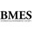 Logo Biomedical Engineering Society